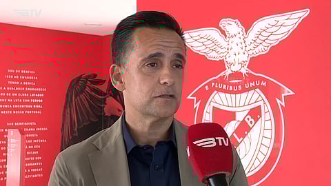 Mário Branco, diretor-geral do Benfica