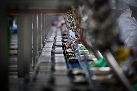 A indústria de conservas de peixe continua a empregar essencialmente mulheres.