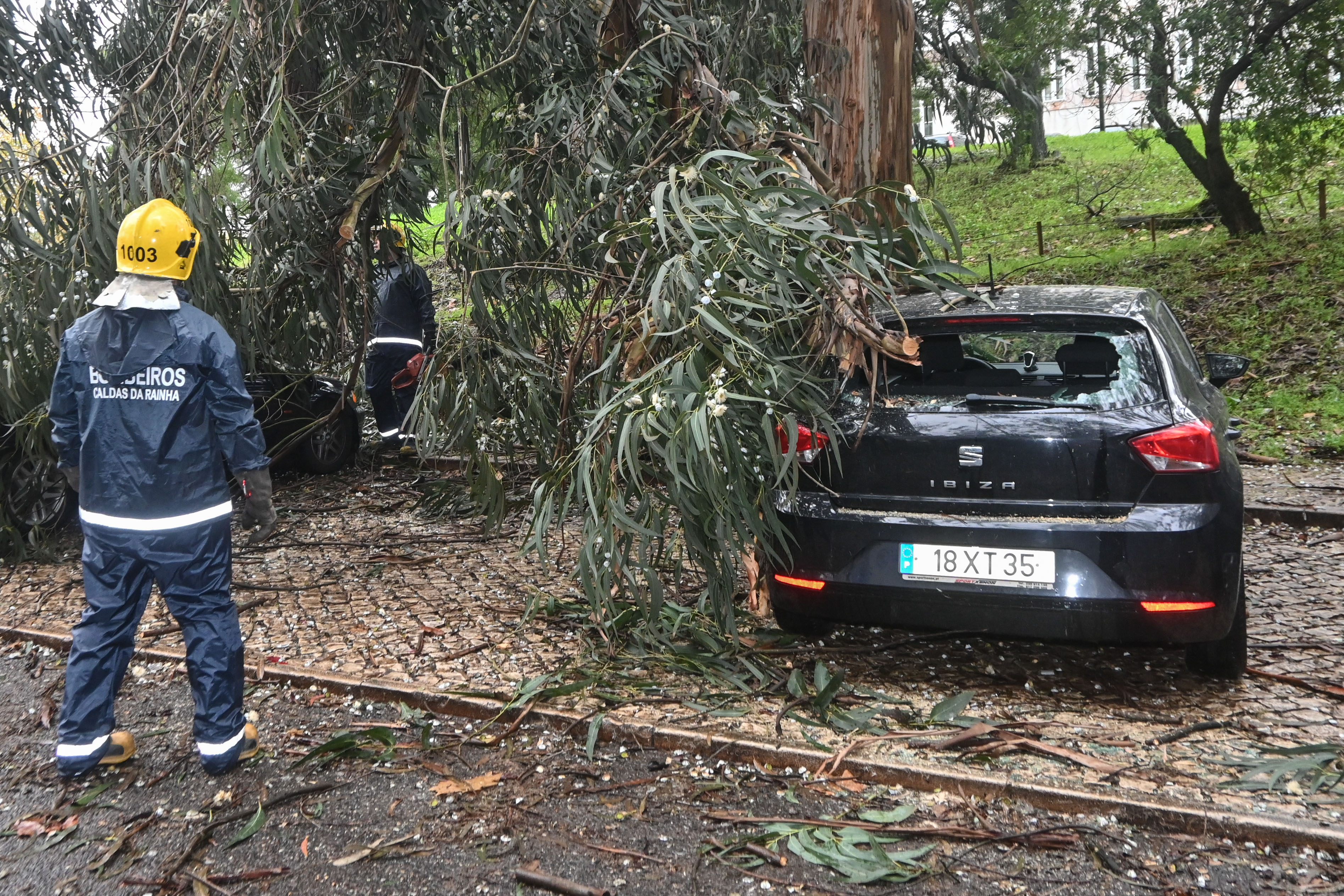 Proteção Civil registou 81 inundações e 10 quedas de árvore na madrugada desta segunda-feira