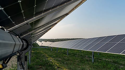 Castelo Branco. Quercus alerta para impactos ambientais "graves" do projeto fotovoltaico Sophia