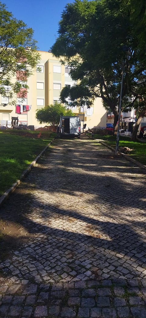 aparentemente inofensivo, este candeeiro, situado num parque de Odivelas revelou-se um perigo