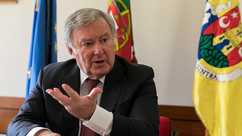 Ex-presidente da Câmara de Sintra é apoiante de António José Seguro.