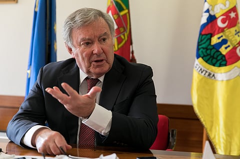 Ex-presidente da Câmara de Sintra é apoiante de António José Seguro.