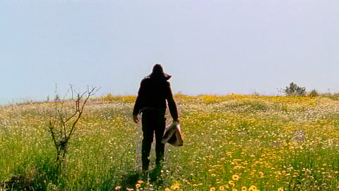 Memórias históricas e narrativas do Alentejo.