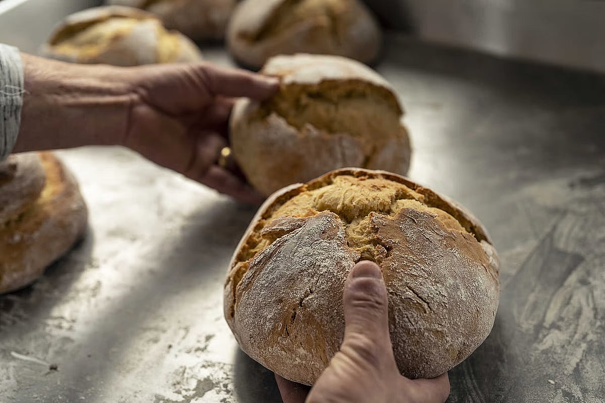 Bread and pastries to see a "slight increase" in price in 2026 mainly due to eggs