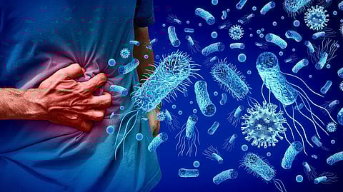 UE alerta para aumento de infeções graves por Listeria na Europa