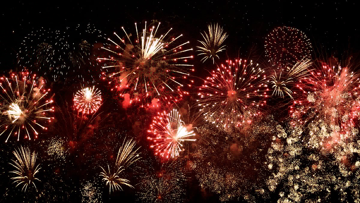 Porto City Council urges use of public transport for New Year's Eve celebrations