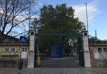 Curry Cabral Hospital performs Portugal's first fully robotic kidney transplant