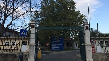 Hospital Curry Cabral faz primeiro transplante renal totalmente robótico em Portugal