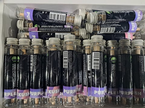 PJ detém na margem sul dois suspeitos de tráfico internacional de estupefacientes  