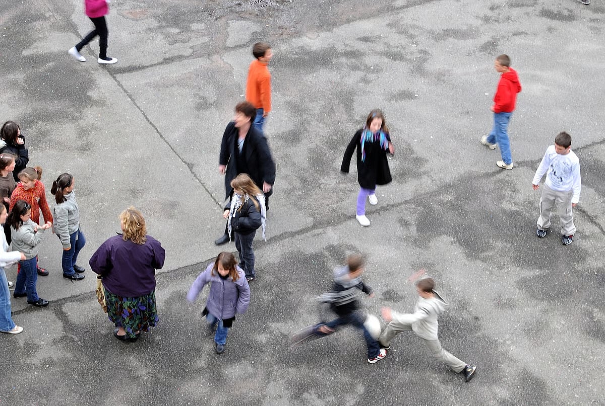 Violence in schools. The Student Statute needs urgent revision to clarify and expedite disciplinary action