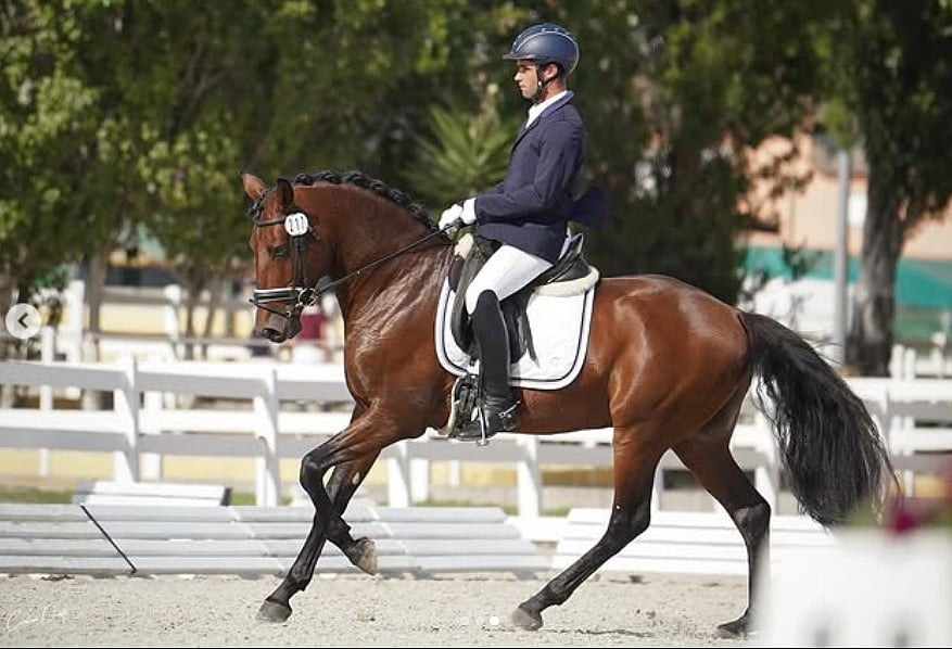 Riding instructor arrested for child abuse was a Chega municipal candidate in Azambuja