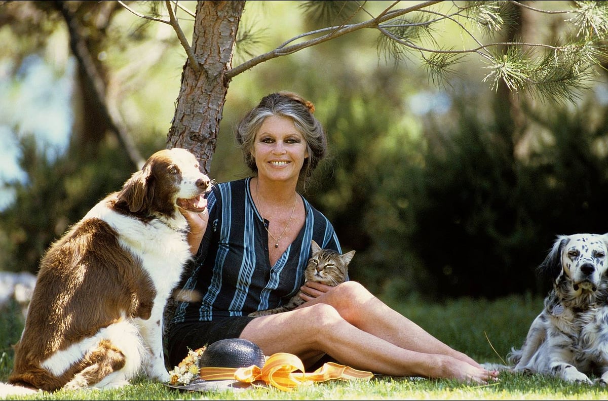 PAN's vote of condolence overlooks Brigitte Bardot's convictions for incitement to racial and religious hatred