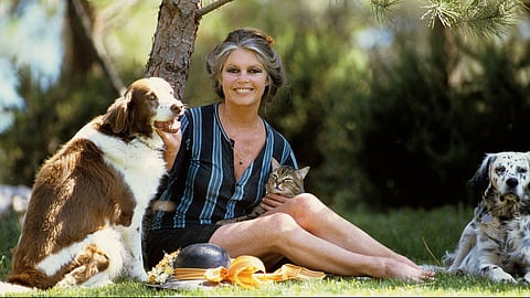 Brigitte Bardot dedicou as últimas décadas de vida à defesa da causa animal, através da sua fundação.