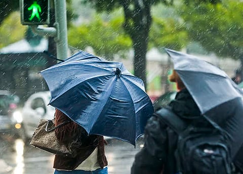 Depressão Francis. Primeiro dia do ano com chuva, vento e ondulação fortes
