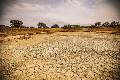 Ano de 2025 foi um dos três mais quentes de que há registo