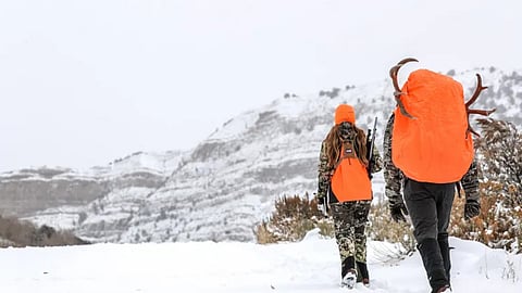 Mulher morre ao ser atacada por um leão-da-montanha nos EUA