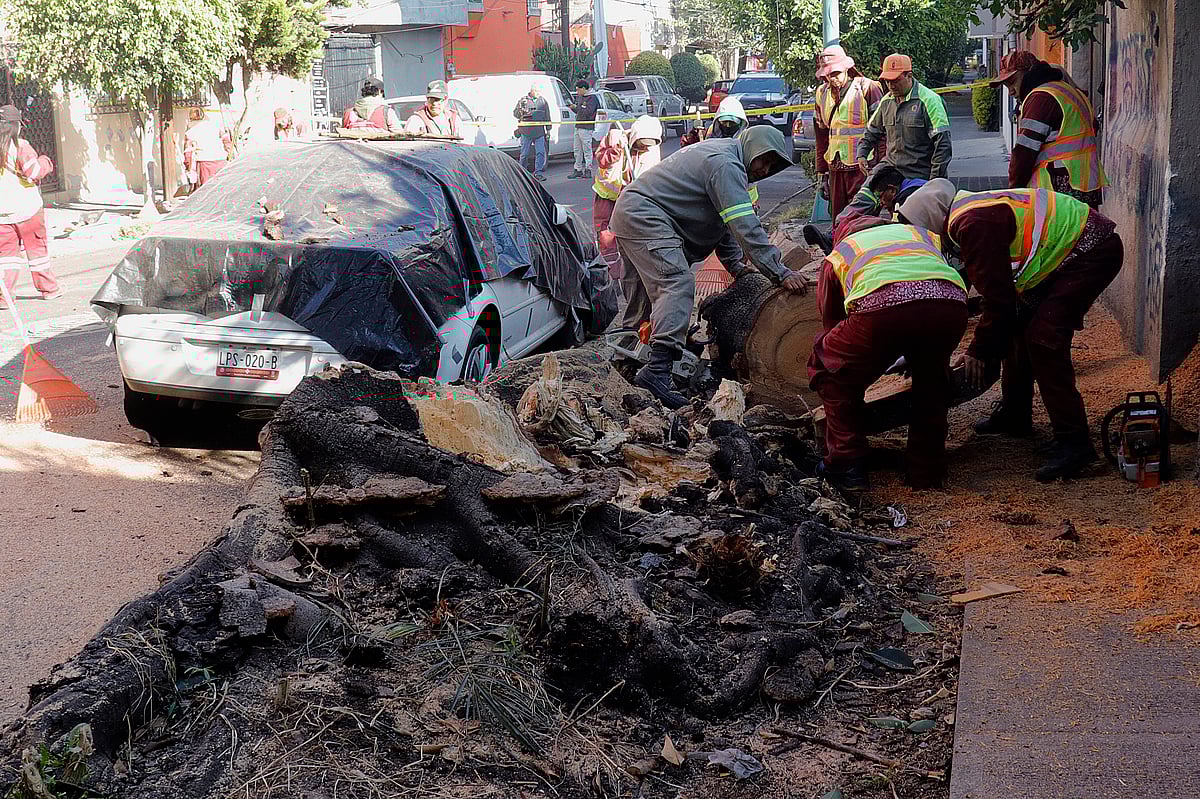Sismo de magnitude 6,5 no México causou pelo menos duas mortes