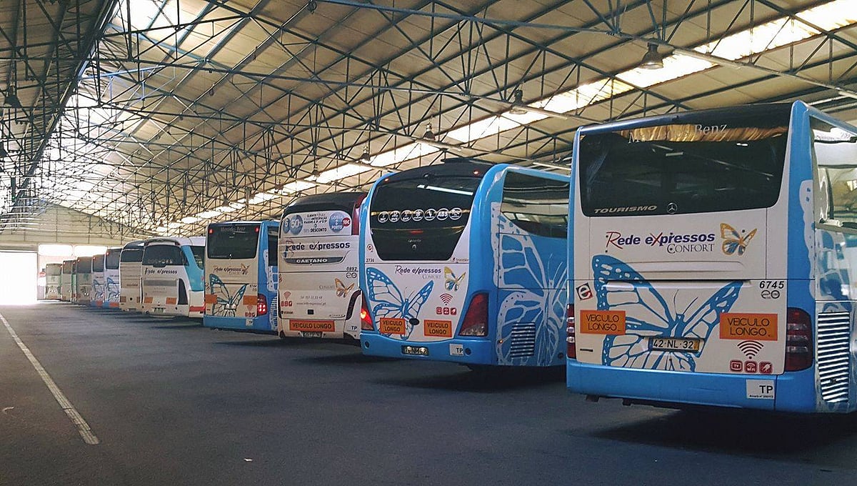 New licences for express services at the Sete Rios terminal suspended