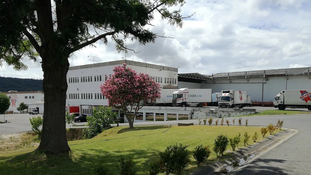 Sicasal has been declared insolvent