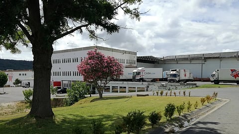 Empresa Sicasal foi declarada insolvente