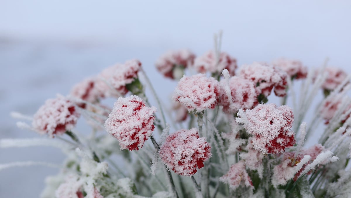 Column: 'We're inside a box.' Have you opened yours yet?