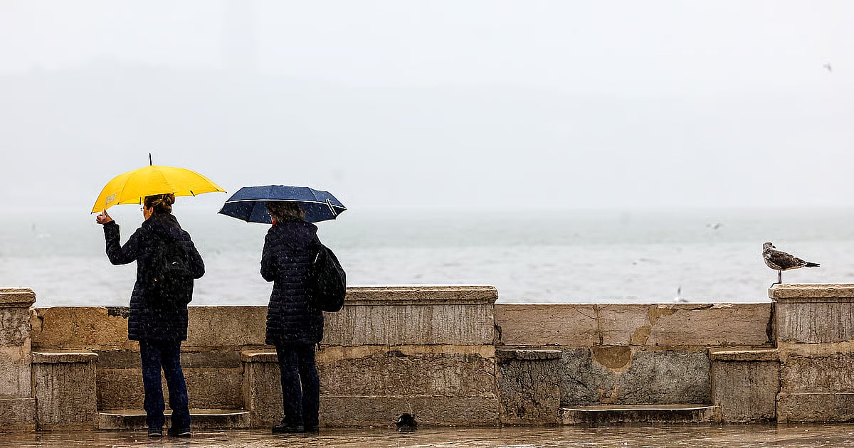 Rain to continue throughout the week; ten districts under orange warning for precipitation and swell