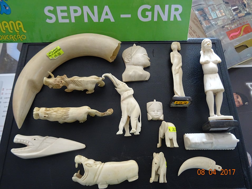 Environment: Over 7,000 offences in 2025 and €60 million in fines