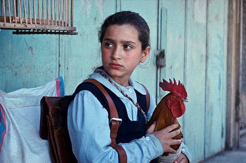 Baneen Ahmad Nayyef e Hindi, o galo: um conto iraquiano.