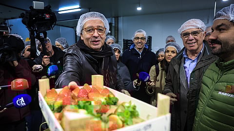 António José Seguro visitou visita uma empresa hortofrutícola, em Montemor-o-Novo.