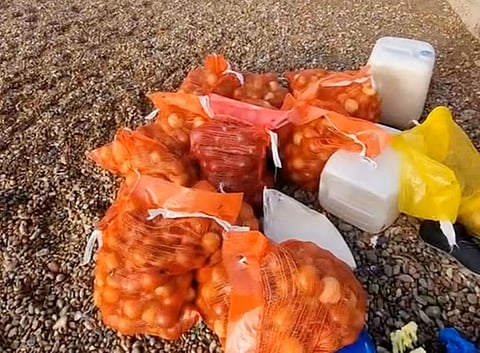 Poluição: Praias britânicas invadidas por cebolas e batatas-doces