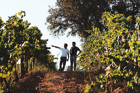 António e Alexandre Relvas são os responsáveis pela Casa Relvas, no Alentejo