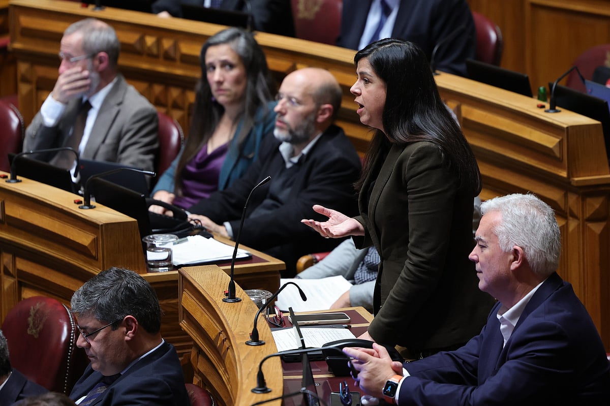 PAN's proposal to implement the Climate Framework Law is rejected, but the government will not let the issue drop