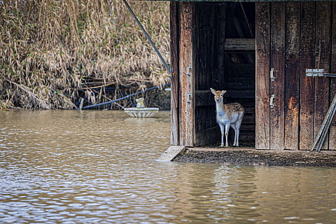 Cheias perto de Coimbra