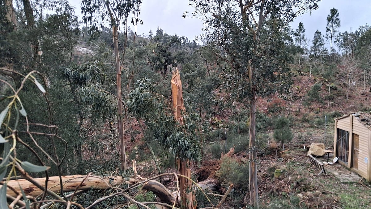 After the wildfires, Pedrógão Grande faces 'yet another tragedy'