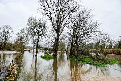 IPMA prevê chuva e vento a partir de domingo. "Nada tão gravoso como tivemos”, diz meteorologista