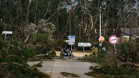Figueiró dos Vinhos apela à doação de bens