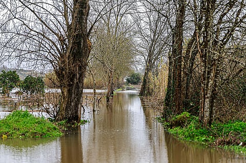 Fuzileiros e Exército reforçam prevenção em Coimbra, Montemor-o-Velho e Soure