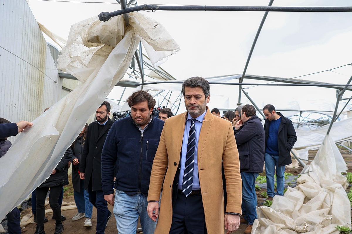 Presidential Elections. Seguro will assess support in the Centre region, Ventura attacks Castro Almeida