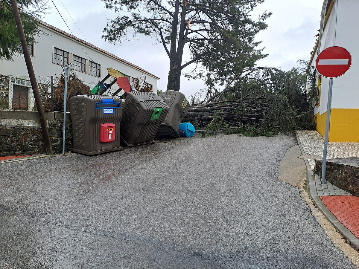 Sertã town council appeals to Government: "We need human and technical resources on the ground to help us"