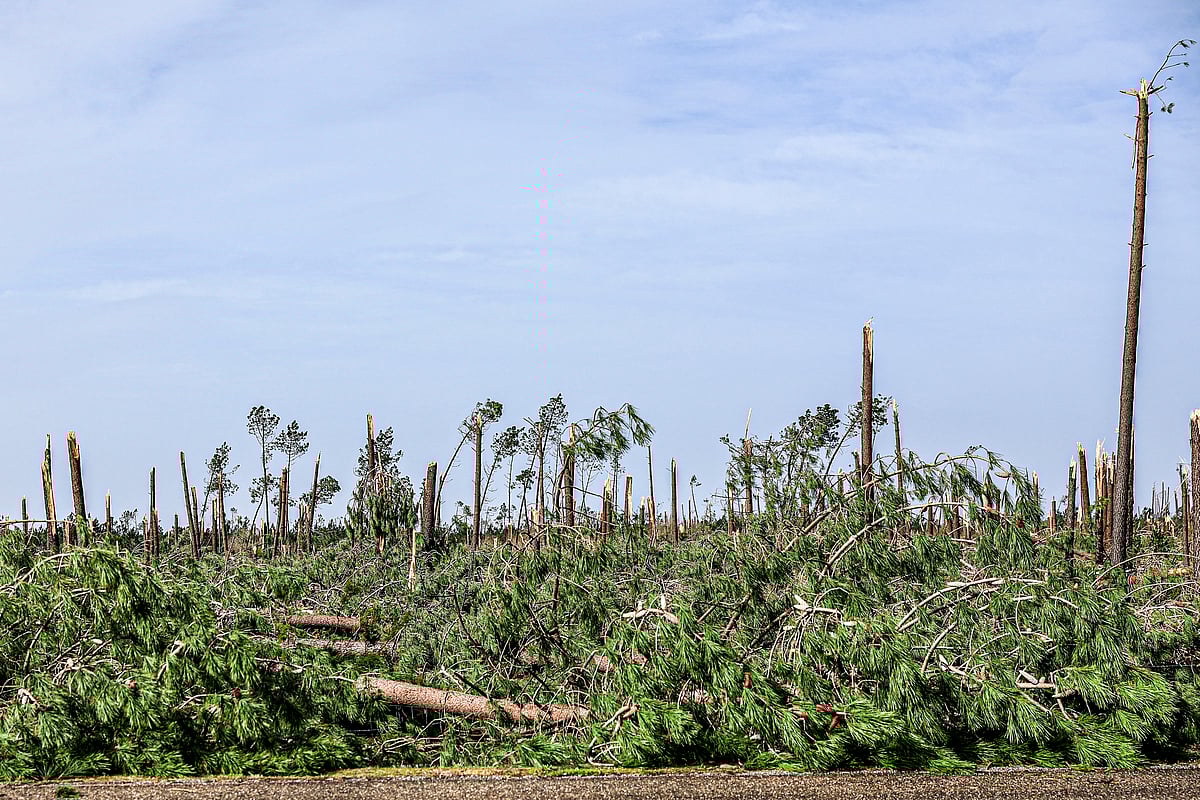 Mayor of Alvaiázere desperately asks for more firefighters. 'Our firefighters are exhausted,' he says
