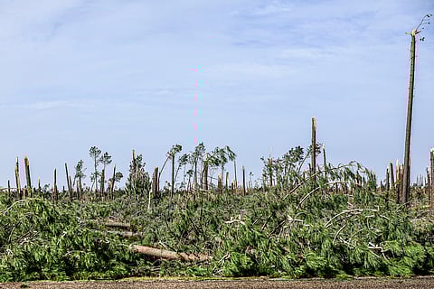 Presidente da Câmara de Alvaiázere pede "desesperadamente" mais bombeiros. "Os nossos estão exaustos", diz