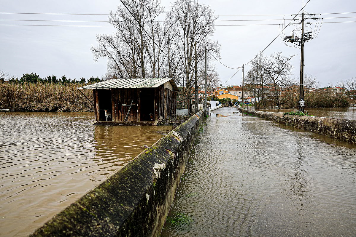 A Disaster Fund and compulsory insurance are needed to tackle extreme events