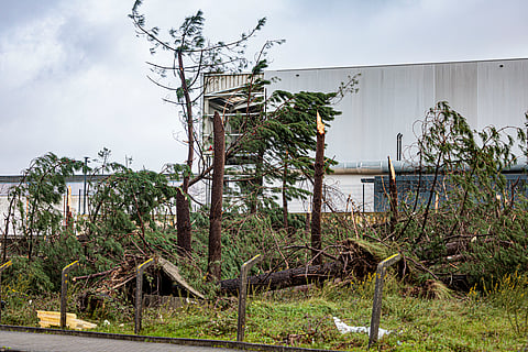 Governo estima 20 milhões de euros para recuperar 50 monumentos afetados pela tempestade