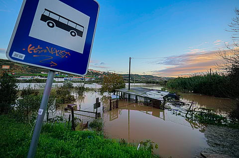 “Falar em recuperação de solos é falar de um horizonte de séculos” 