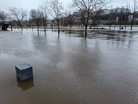 Câmara de Coimbra vai retirar 3000 pessoas de casa. "Risco claro de os diques colapsarem" no Mondego