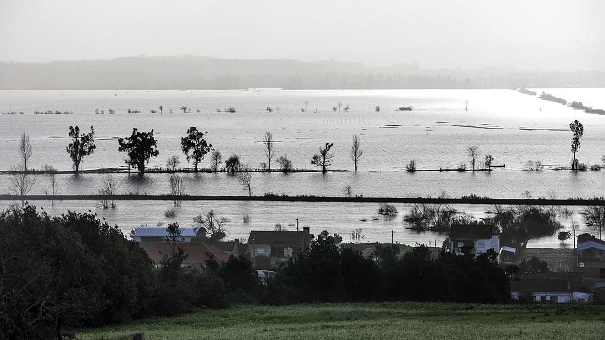Expert warns: without land planning and new dams, floods in the Mondego will worsen