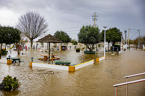 Álvaro Santos Pereira defendeu nas próximas semanas e meses, se devia "aprender as lições com mais esta crise natural e começar”.