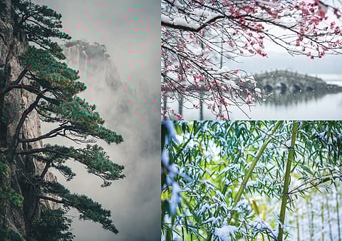 O pinheiro, o bambu e a ameixeira manifestam uma notável vitalidade e resistência durante o rigor do inverno.