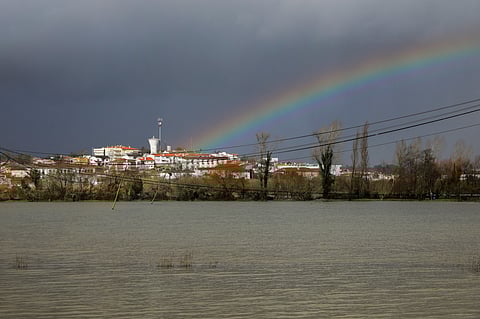 Soure foi uma das localidades mais afetadas pela subida do nível das águas do rio Mondego.